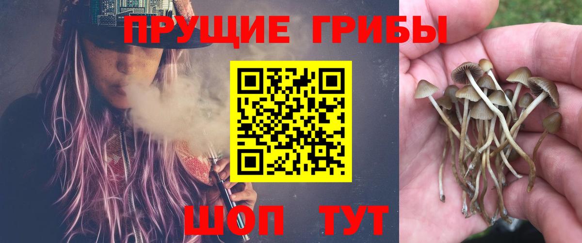 Галлюциногенные грибы мицелий Ржев