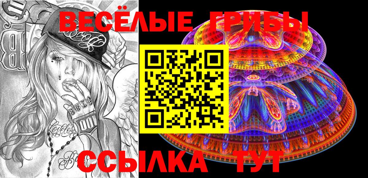 Ржев  Галлюциногенные грибы Magic Shrooms  Вход с VPN  Галлюциногенные грибы GOLDEN TEACHER 